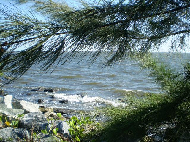 Indian River Florida