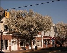 Buying a home in Metuchen