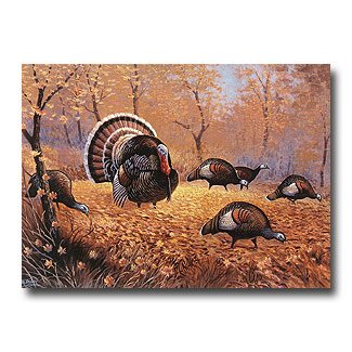 Have a Safe holiday