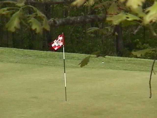 Great Golf!
