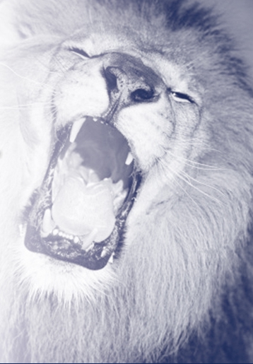 I am Realtor, Hear me Roar