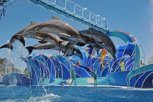 San Diego Local Attractions - Sea World