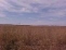 Just West of Cheney Lake, Haven School Dist. no image