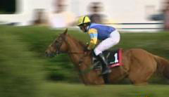 The Iroquois Steeplechase - Bellevue Community - Nashville, TN